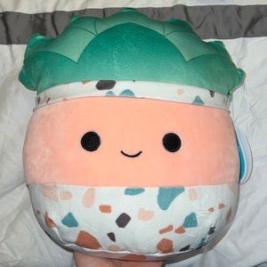 SOLD Abena the Succulent Plant Squishmallow 8”